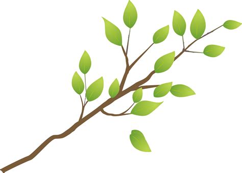 Branch .